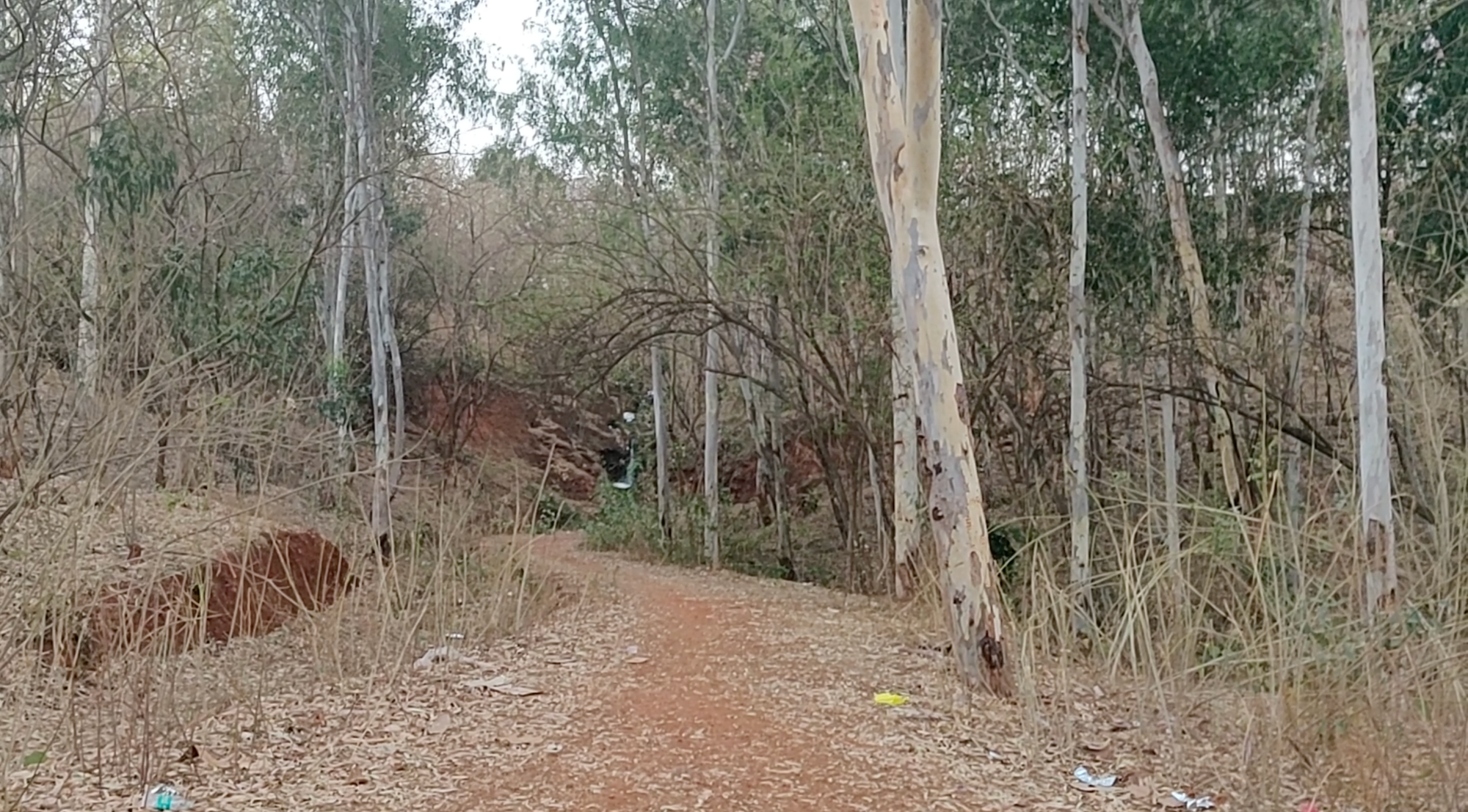 A winding path around Papnash Lake, where listening begins with footsteps
