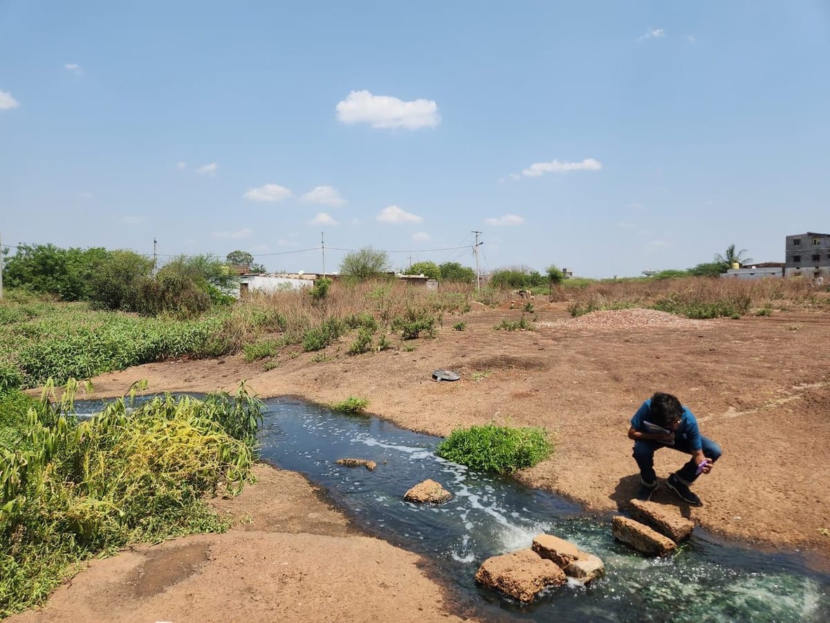 School for Sensitive Ecologies